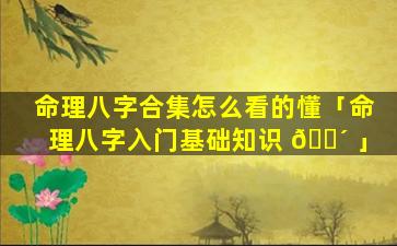 命理八字合集怎么看的懂「命理八字入门基础知识 🐴 」